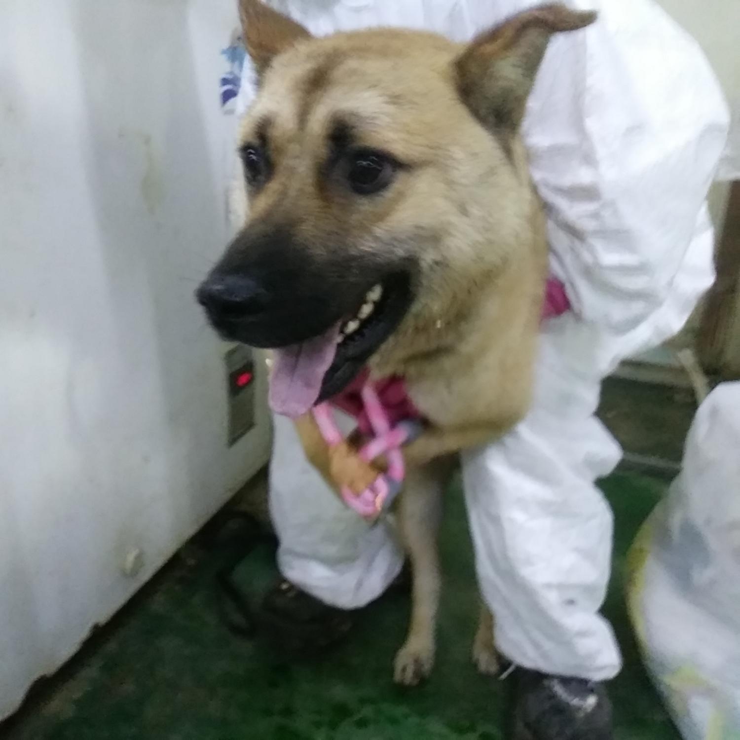 인천광역시수의사회_428351202400505