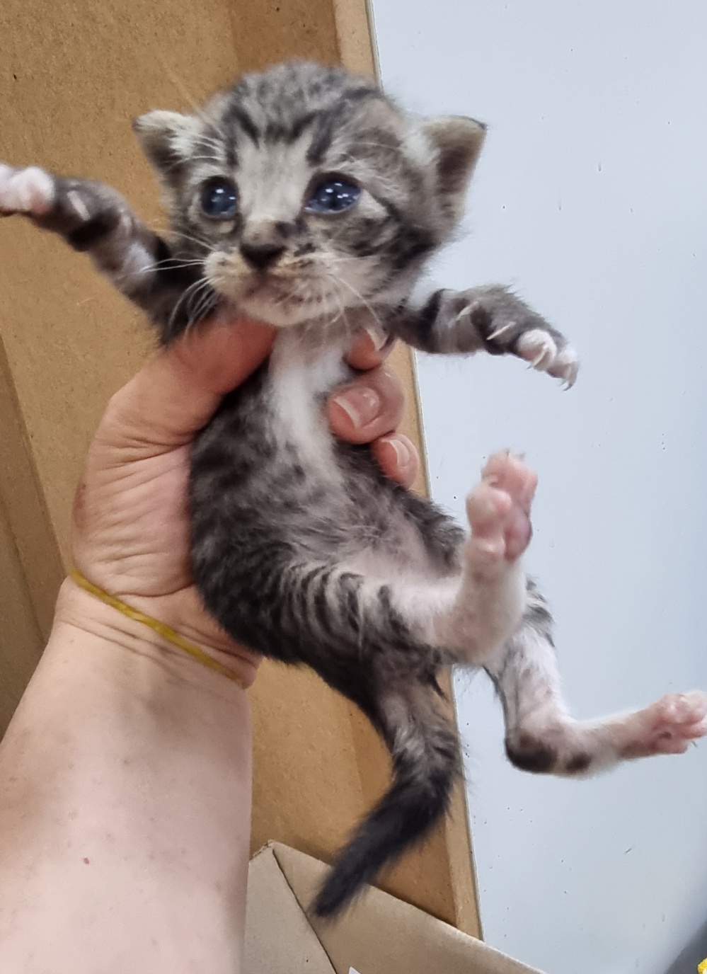 울산유기동물보호센터_431373202400891