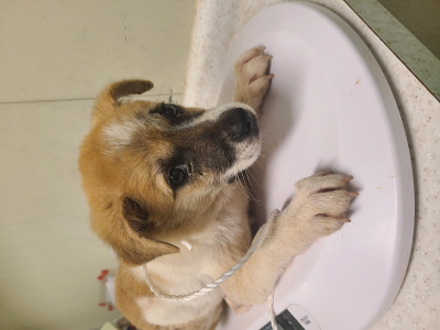 사단법인 동부_426340202400162