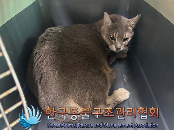 한국동물구조관리협회_411303202400284