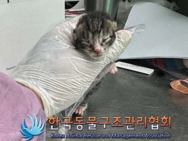 종료(자연사) 한국…