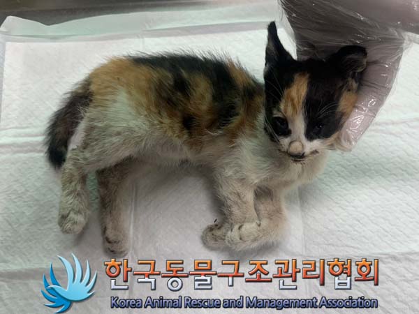 종료(자연사) 한국…