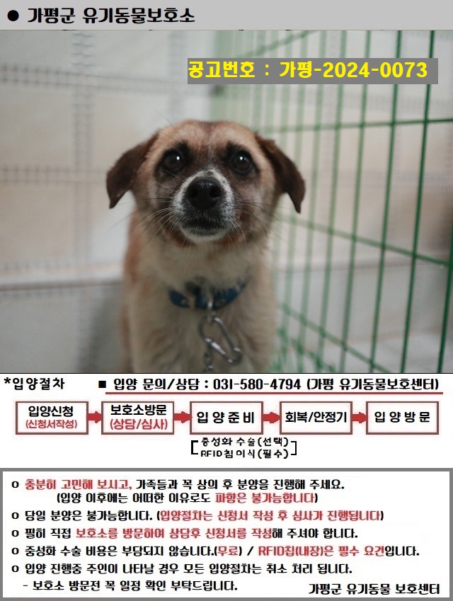 가평군유기동물보호소_441416202400161