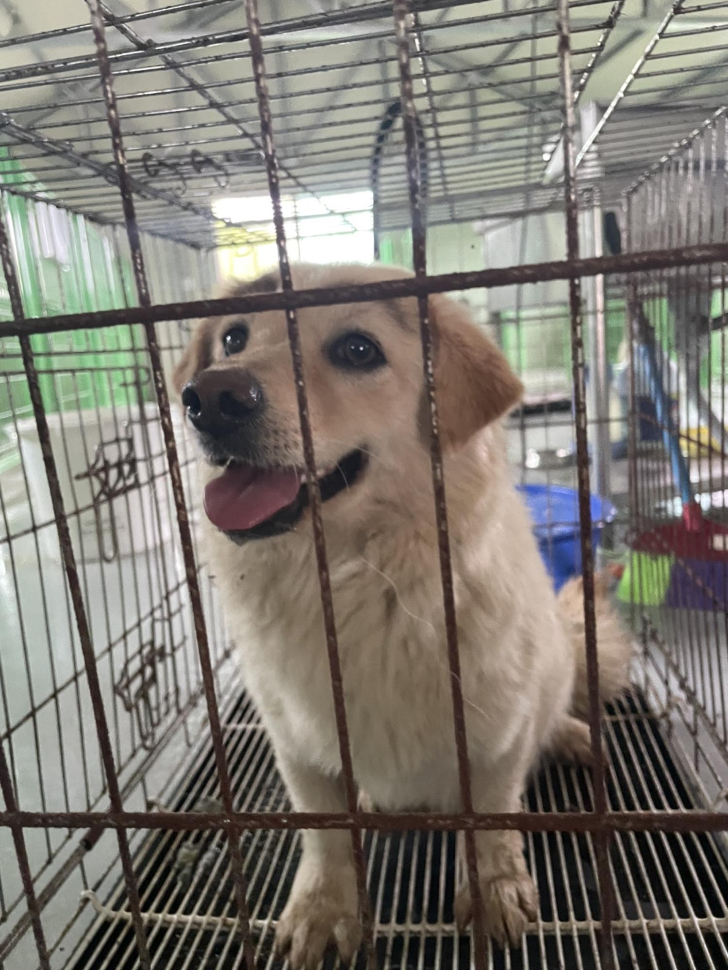 더나은동물병원_445478202400334