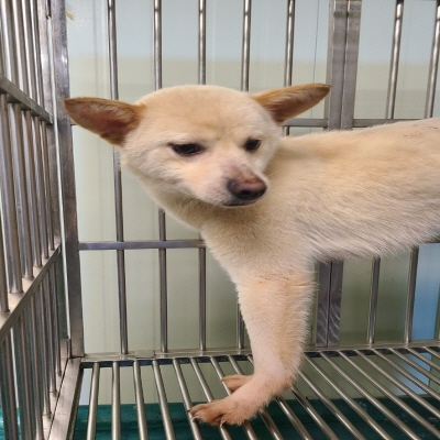 사단법인 동부_426340202400165