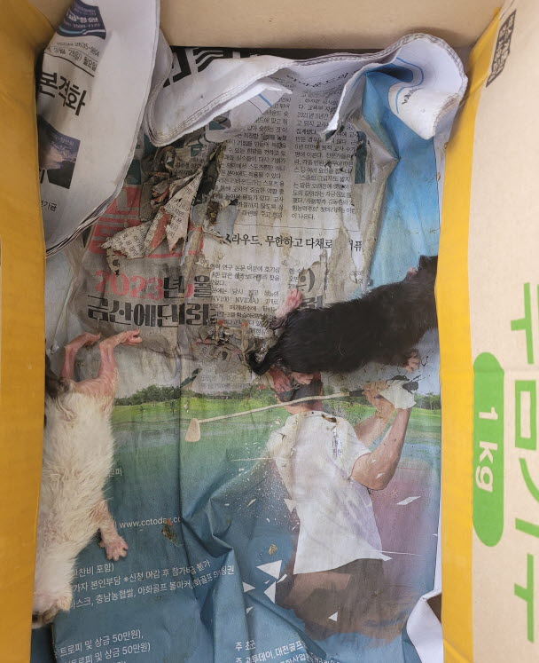 논산시 동물보호센터_444454202400560