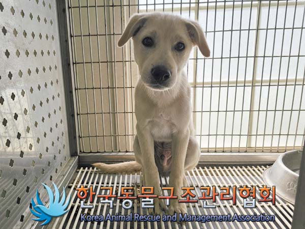 한국동물구조관리협회_441414202400454