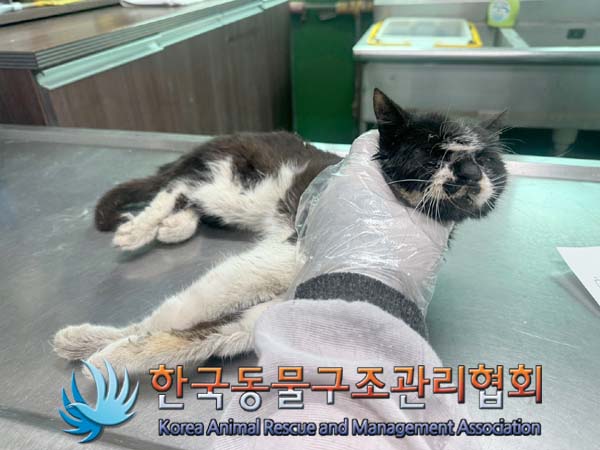 한국동물구조관리협회_441406202401225