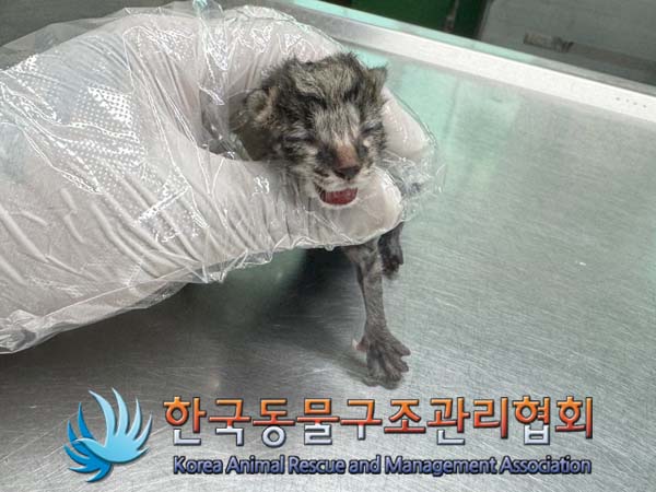 종료(자연사) 한국…