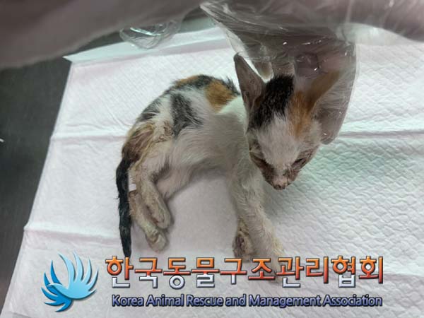 종료(자연사) 한국…