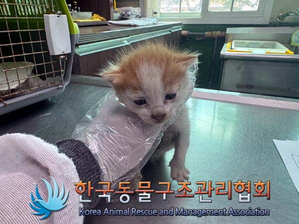 한국동물구조관리협회_441559202400796