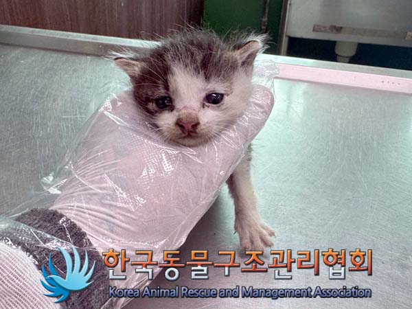 종료(자연사) 한국…