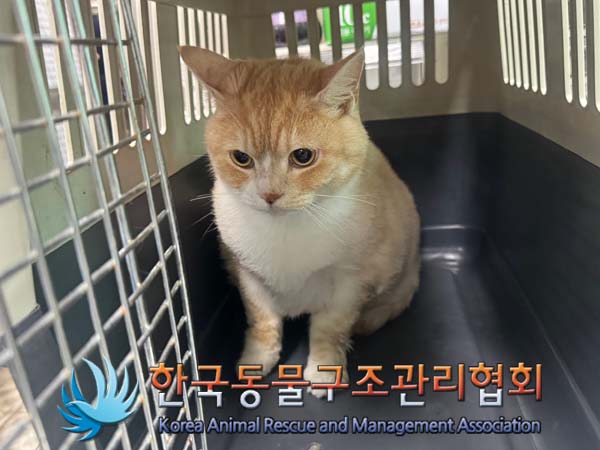 한국동물구조관리협회_411309202400217
