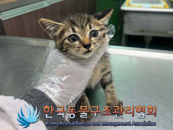 한국동물구조관리협회_411315202400365