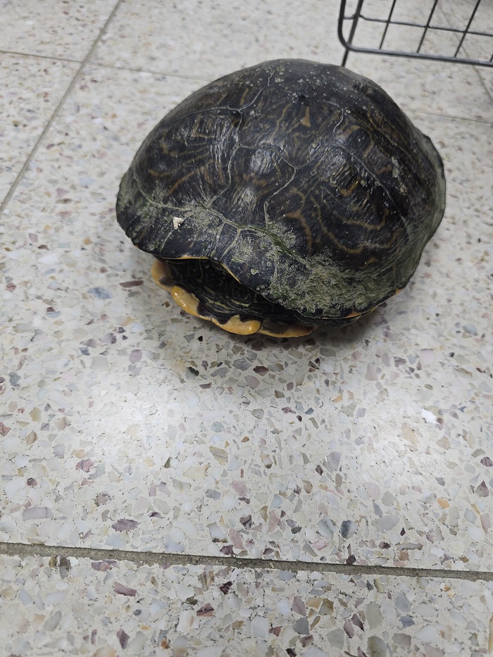 반려동물보호센터_443571202401798