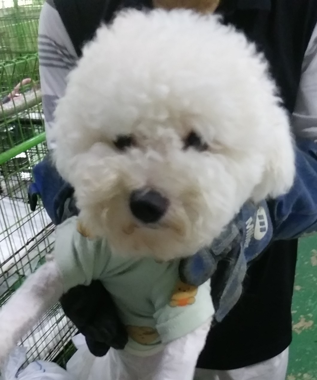 인천광역시수의사회_428351202400509
