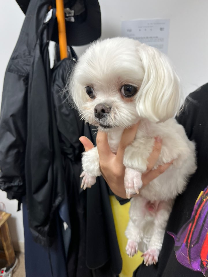 반려동물보호센터_443571202401806