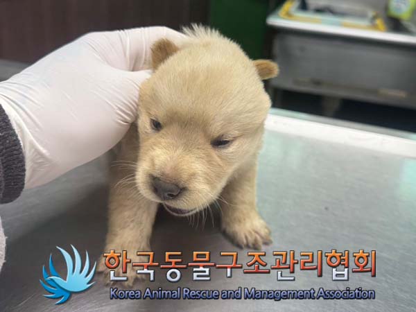 한국동물구조관리협회_441409202401038
