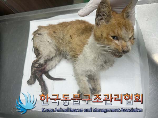 한국동물구조관리협회_411309202400219