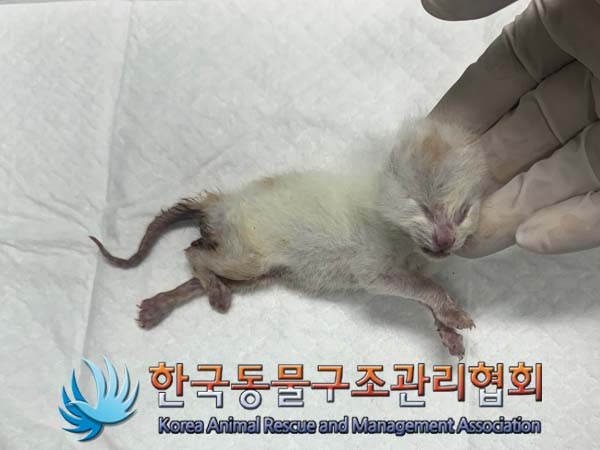 종료(자연사) 한국…