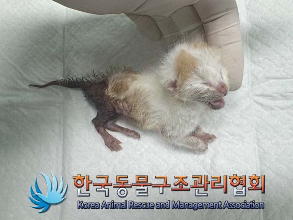 종료(자연사) 한국…