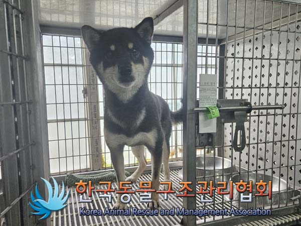 한국동물구조관리협회_411322202400376