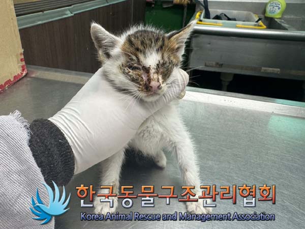 종료(자연사) 한국…