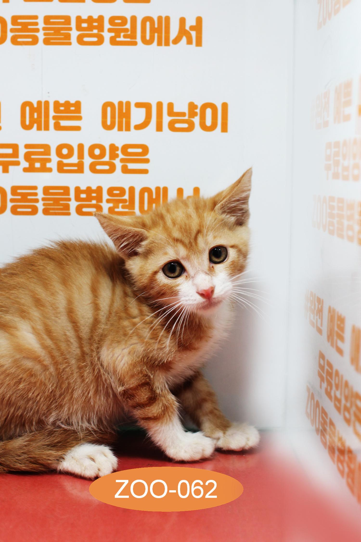 종료(자연사) 한국…