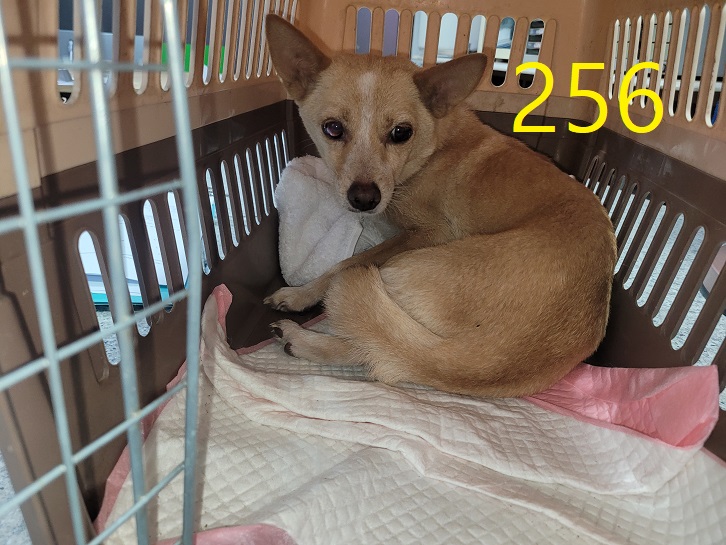신영재동물병원_428355202400449