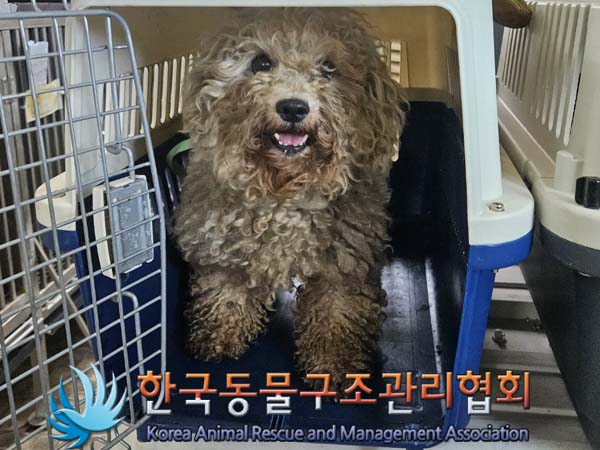 한국동물구조관리협회_441409202401042