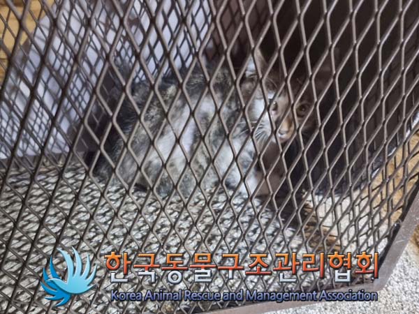 한국동물구조관리협회_411306202400580