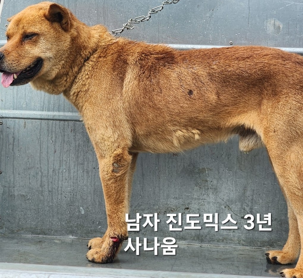 옥천동물병원_443443202400563