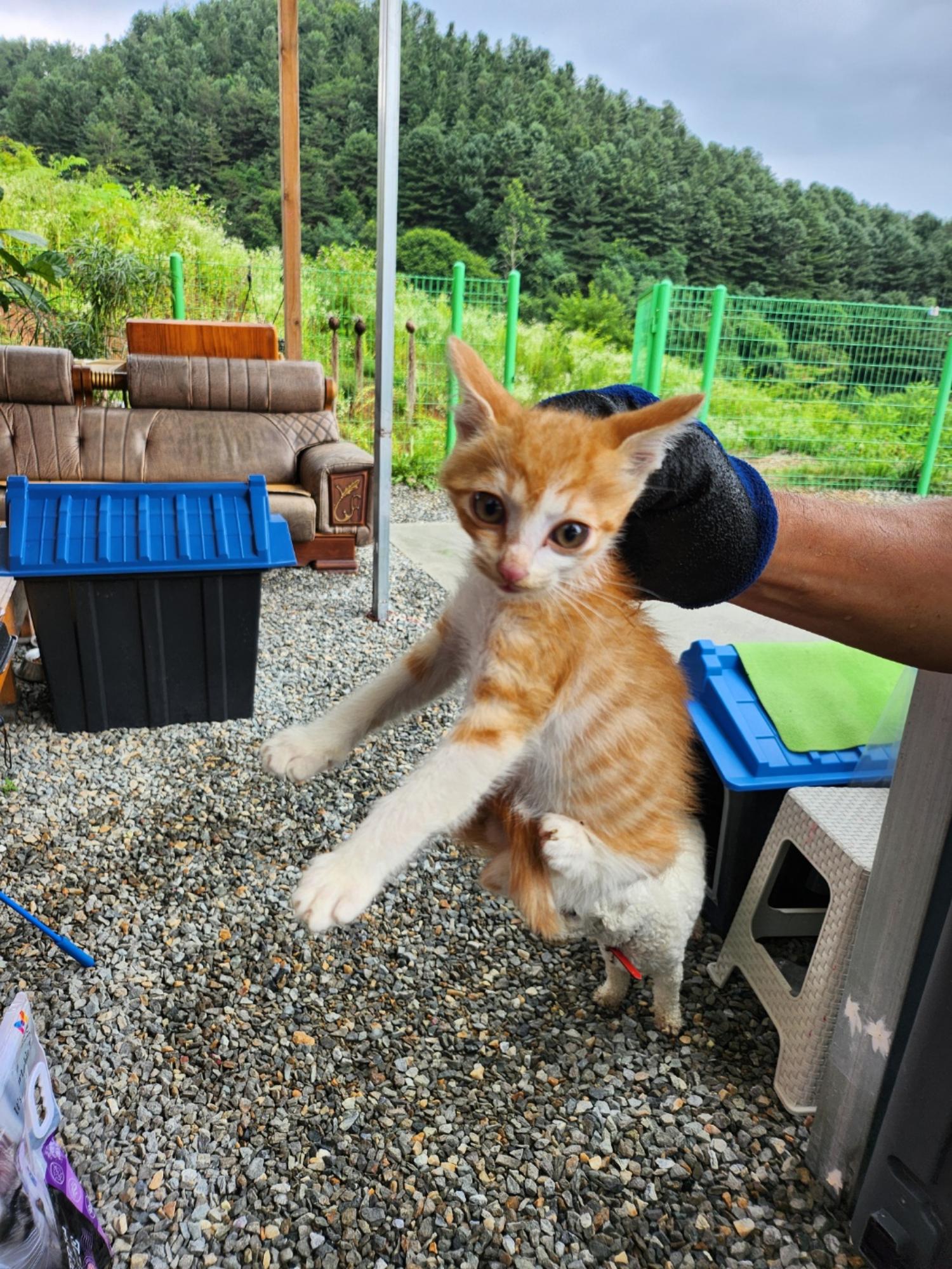 종료(자연사) 한국…
