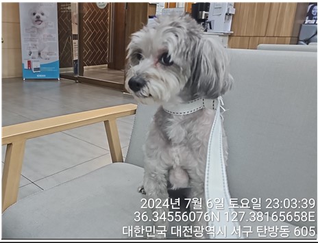 대전동물보호센터_430366202400309
