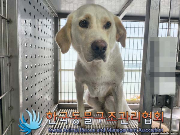 한국동물구조관리협회_441409202401043