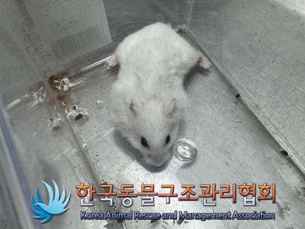 한국동물구조관리협회_411311202400585