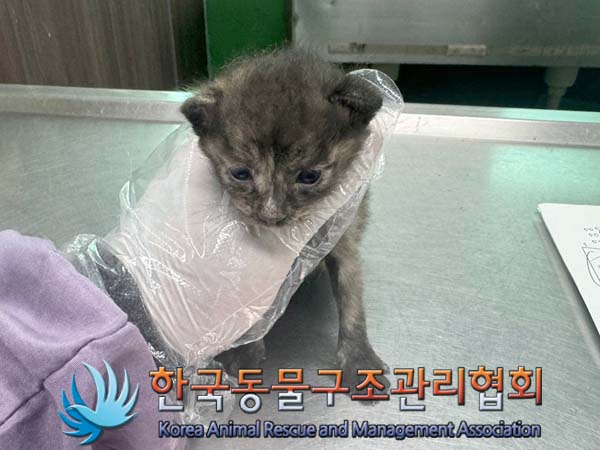 한국동물구조관리협회_411317202400227