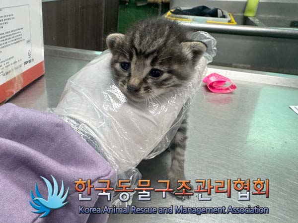 종료(자연사) 한국…