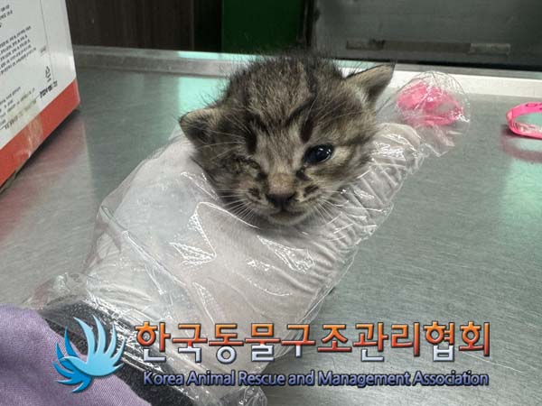 한국동물구조관리협회_411317202400229
