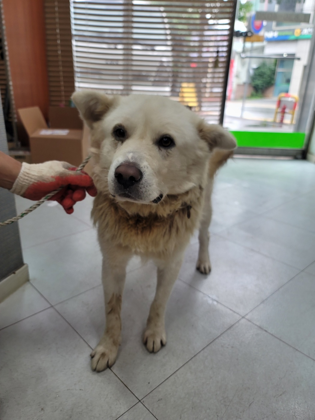 가정견훈련소_443557202400069