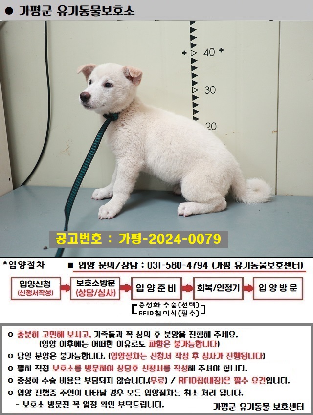 가평군유기동물보호소_441416202400219