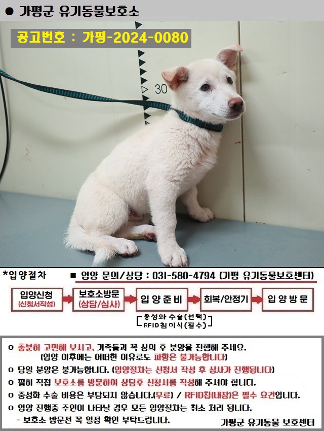 가평군유기동물보호소_441416202400220