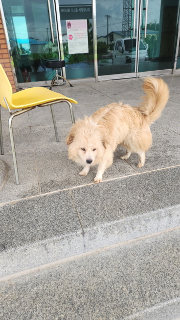 익산유기동물보호소_445468202401937