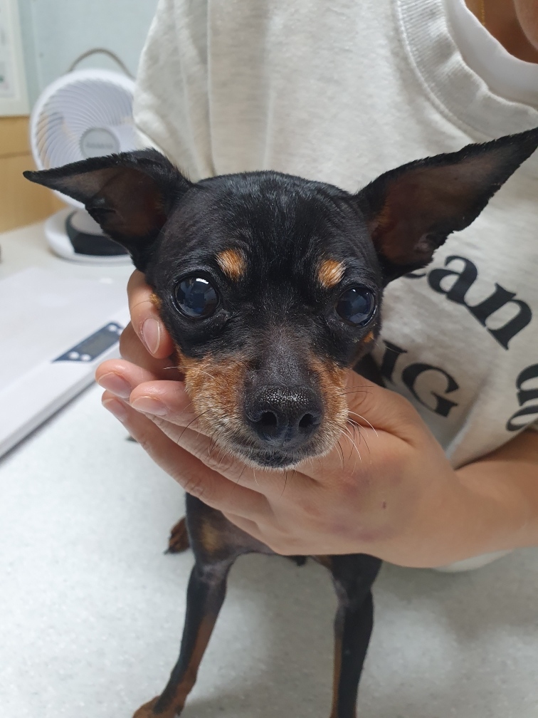 최종주동물병원_443444202400232