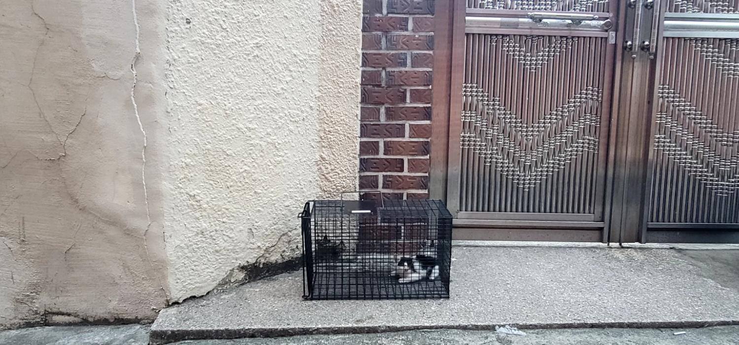 종료(자연사) 한국…