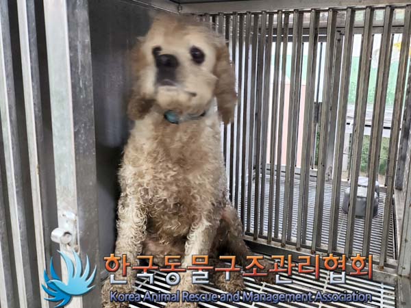 한국동물구조관리협회_411305202400436