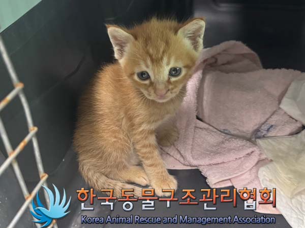 한국동물구조관리협회_411304202400351