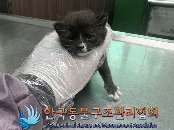 한국동물구조관리협회_411304202400350