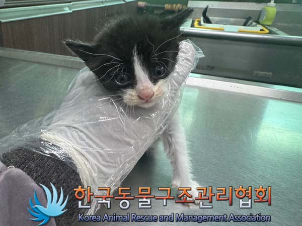 종료(자연사) 한국…
