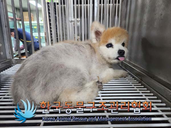 한국동물구조관리협회_411301202400253